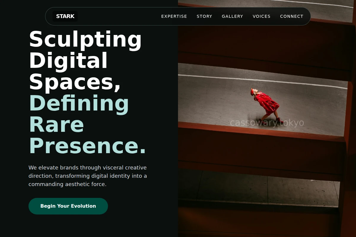 Stark Creative Direction