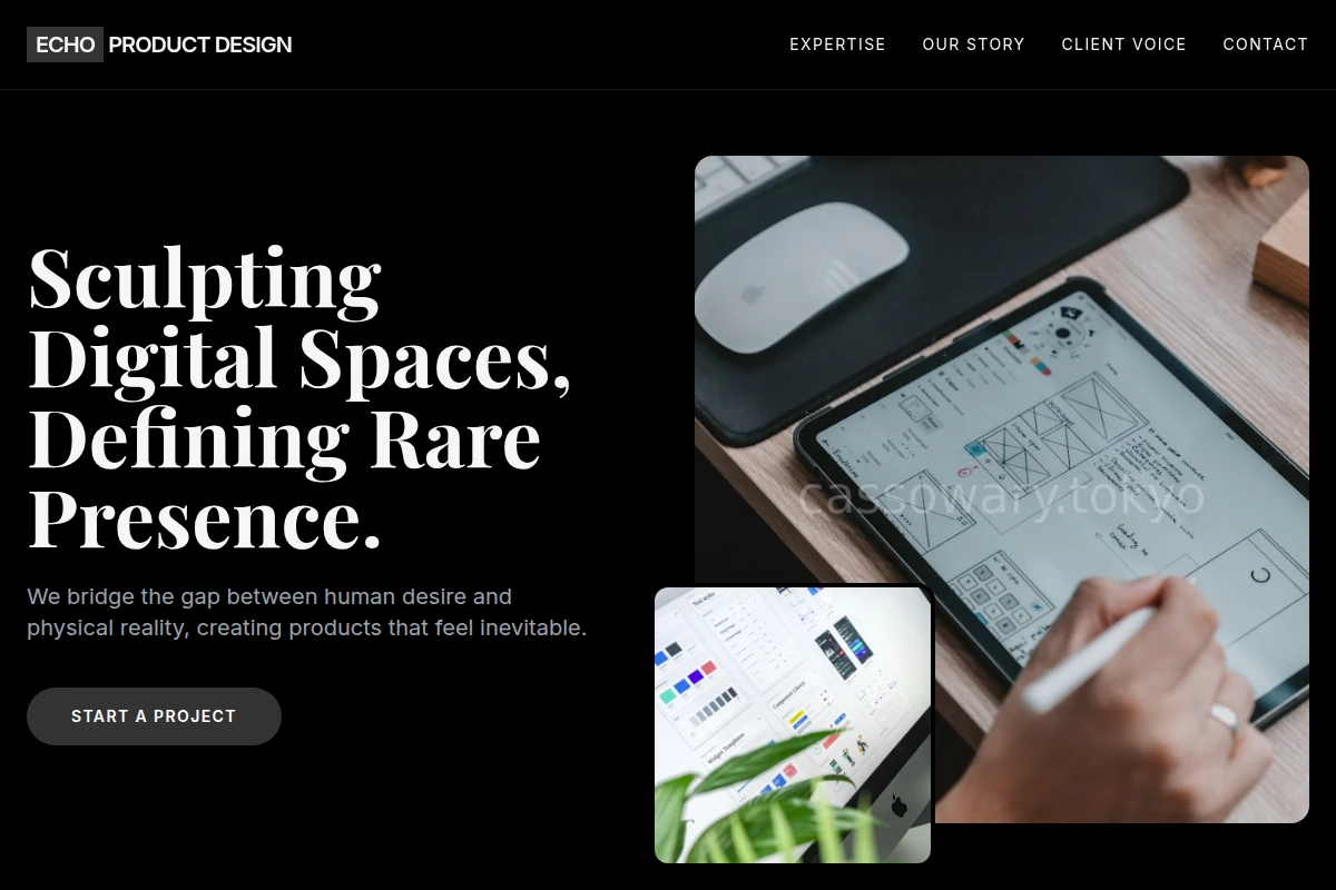 Echo Product Design