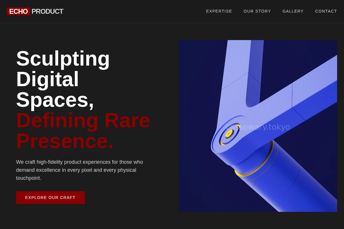 Echo Product Design